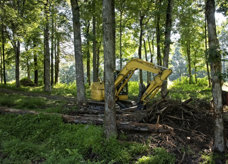 Brush Clearing Service in Atlanta, GA