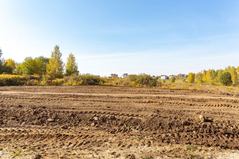 Slope Clearing in Houston, TX